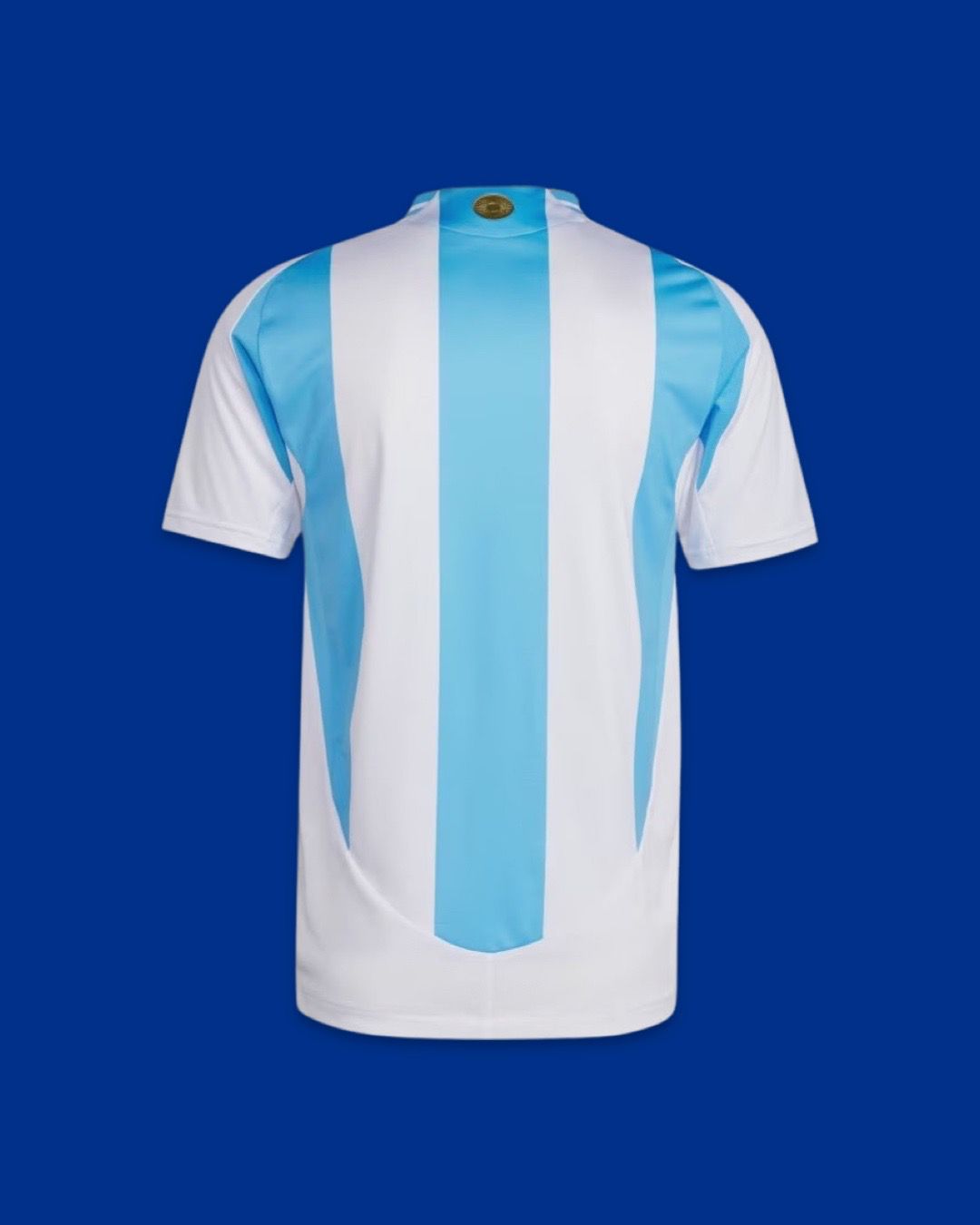 24-25 Argentina AUTHENTIC Heat.Rdy Home Jersey (IP8388)